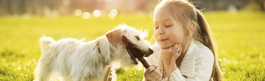 Tiergesundheit & Pflege